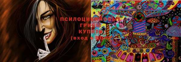 прущие крисы Алексин